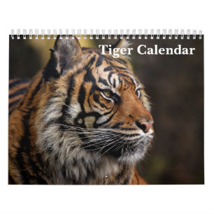 Tiger Wild Animal 2025 Calendar
