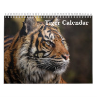 Tiger Wild Animal 2026
