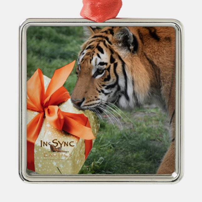 Tiger with Christmas Gift Metal Tree Decoration (Front)