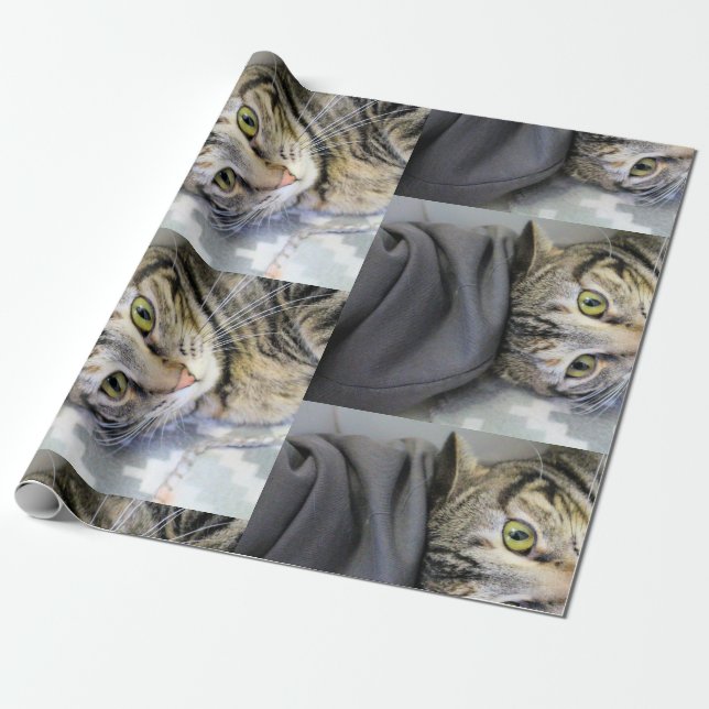 Tiger Wrapping Paper (Unrolled)