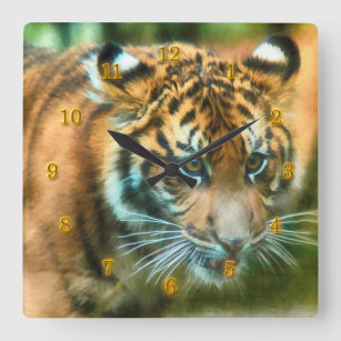 TIGER YOUTH OF THE NATION SQUARE WALL CLOCK
