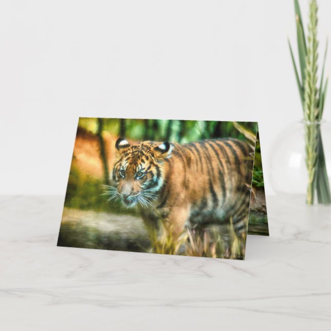 TIGER YOUTH OF THE NATION SUMATRA CARD (Front)