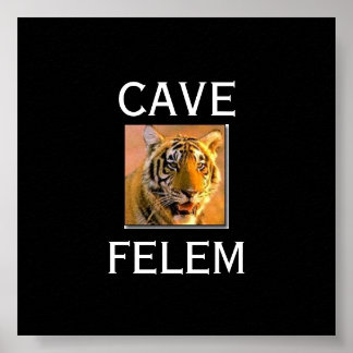 TIGERBeware  Of The Cat - In Lati.... - Customised Poster