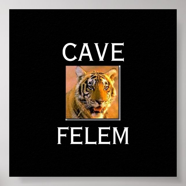 TIGERBeware  Of The Cat - In Lati.... - Customised Poster (Front)