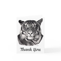 Tigereyes, Thank You