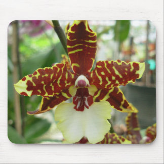 tigerorchid mouse mat