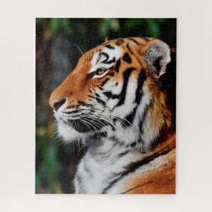 Tigers Big Cats. Jigsaw Puzzle