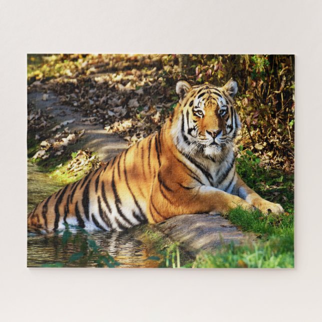 Tigers Big Cats. Jigsaw Puzzle (Horizontal)