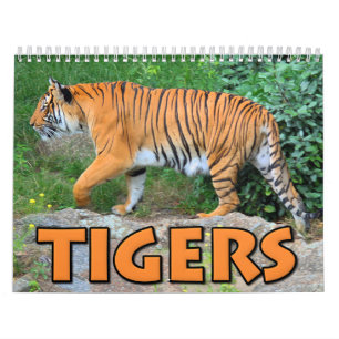Tigers Calendar