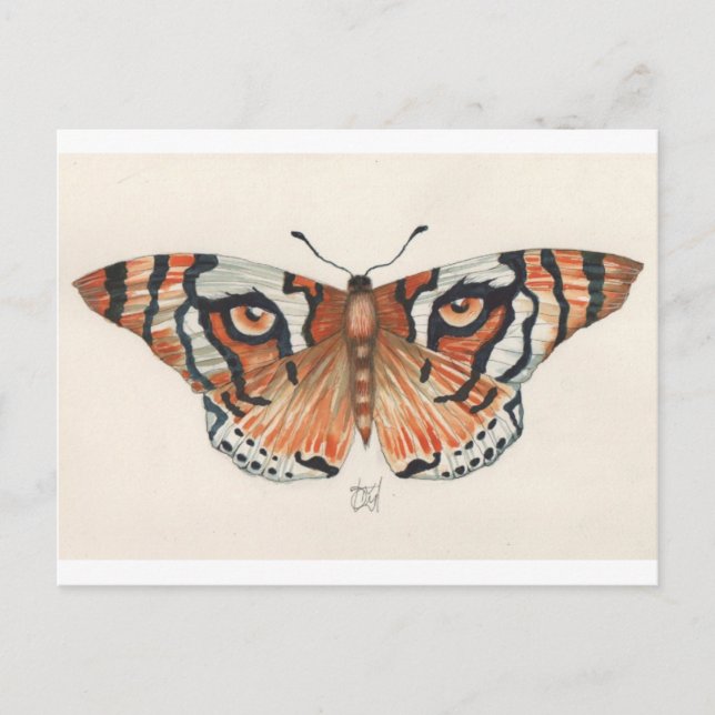tiger's eye butterfly postcard (Front)