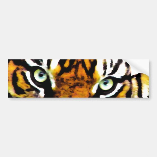 Tigers Eyes_ Bumper Sticker (Front)