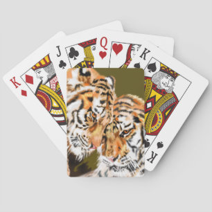 Tigers Family Playing Cards Gift
