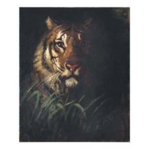Tiger's Head by Abbott Handerson Thayer Photo Print