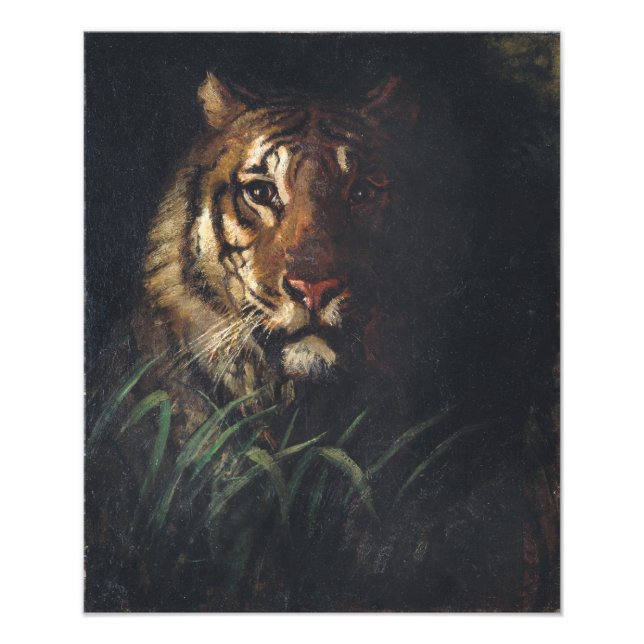 Tiger's Head by Abbott Handerson Thayer Photo Print (Front)