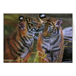 TIGERS IN LOVE
