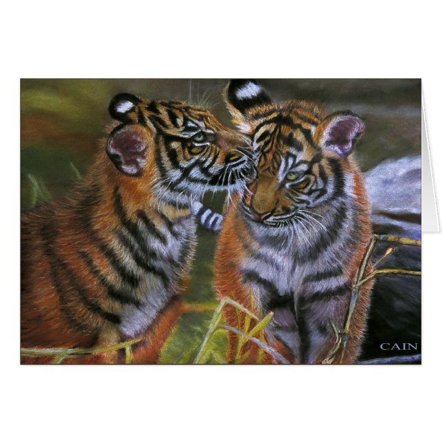 TIGERS IN LOVE (Front Horizontal)
