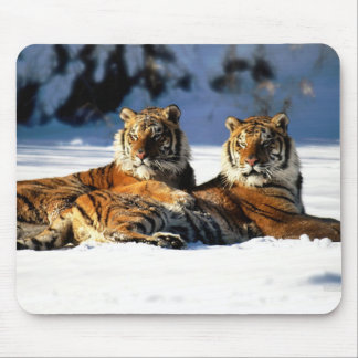 tigers in snow mouse mat
