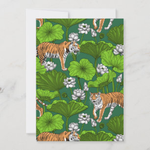 Tigers in the white lotus pond