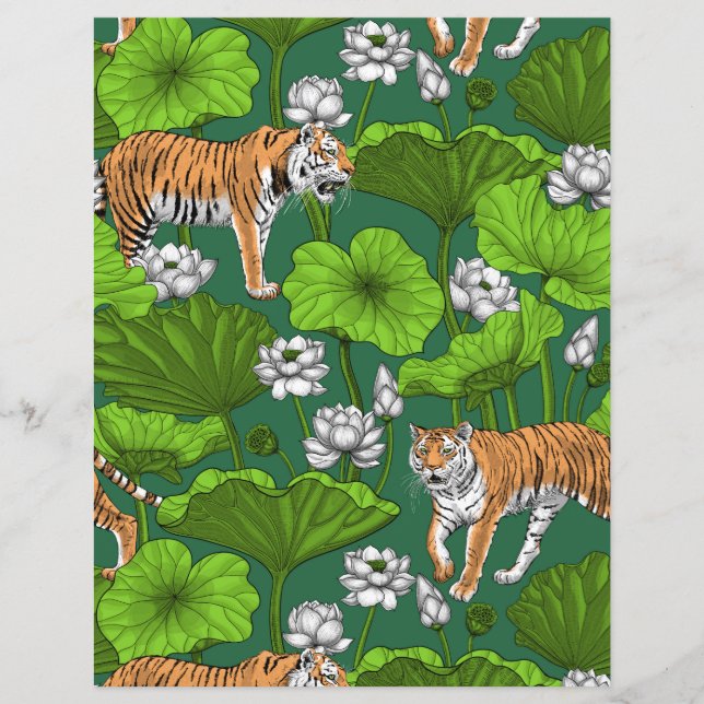 Tigers in the white lotus pond (Front)