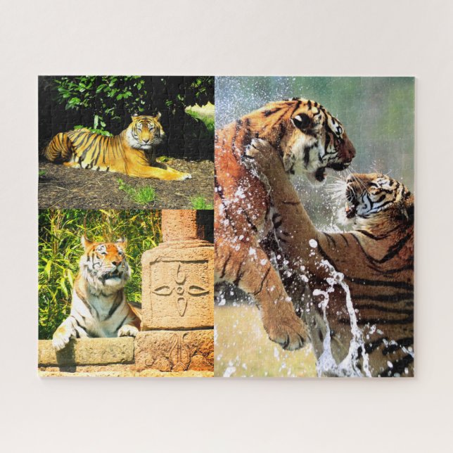 Tigers Jigsaw Puzzle (Horizontal)