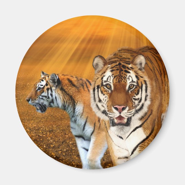 Tigers Magnet (Front)