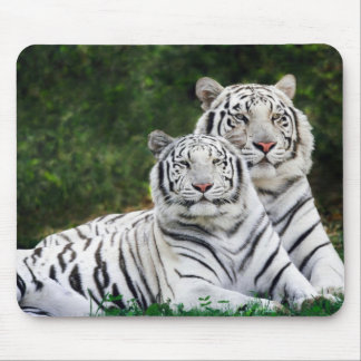 Tigers Mouse Mat