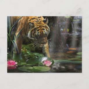 TIGERS NEED WILD PEACE POSTCARD