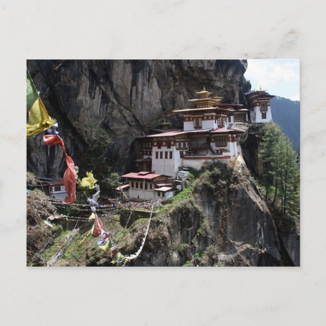 tiger's nest flags postcard (Front)