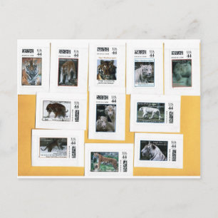 Tigers of all 4 colours postcard