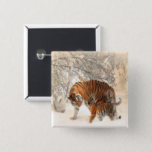tigers on snow 15 cm square badge