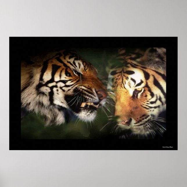 Tigers Print (Front)