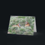 Tigers Step Son Birthday Card<br><div class="desc">Greeting card tigers step son birthday card that you can customise with any text of your choice. Should you require any help with customising then contact us through the link on this page. Tigers step son birthday card</div>