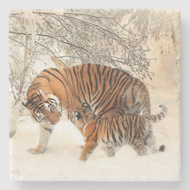 Tigers Stone Coaster (Front)