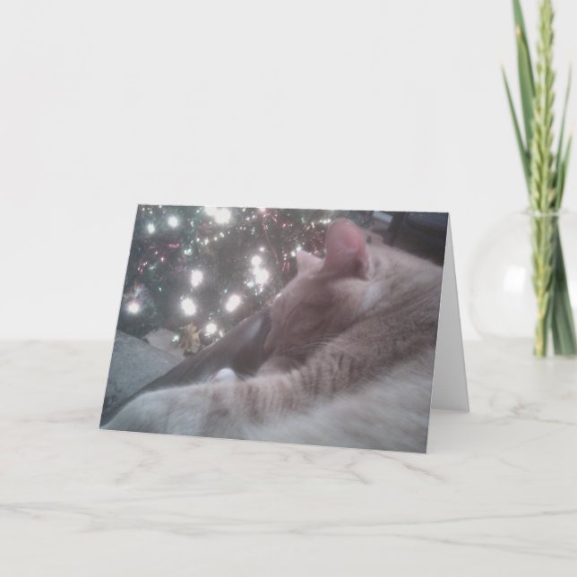Tigger Cat Christmas Holiday Card (Front)