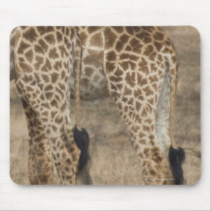 Tight crop of two Giraffes (Giraffa Mouse Mat