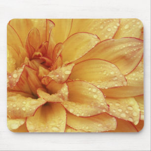 Tight in photographs of Dalhia flower with the 2 Mouse Mat
