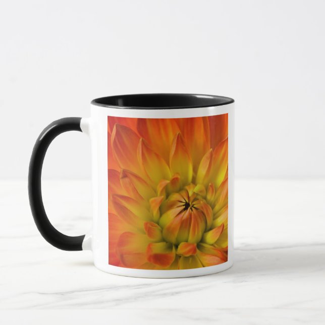 Tight in photographs of Dalhia flower with the Mug (Left)