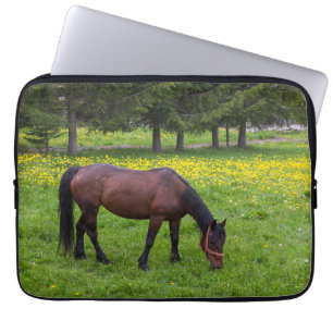 Tihuta Pass, Horse in Pasture Laptop Sleeve