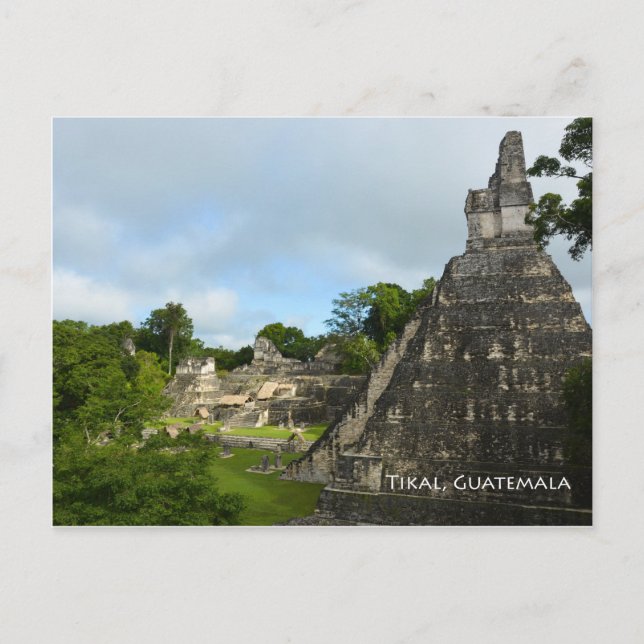 Tikal Guatemala Maya Temple View Postcard (Front)