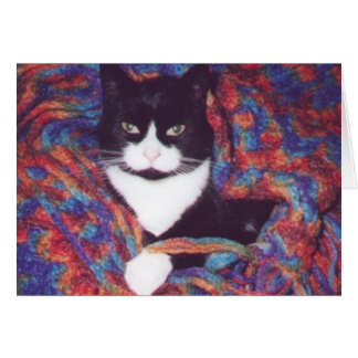 "Tiki in Doug's Afghan"