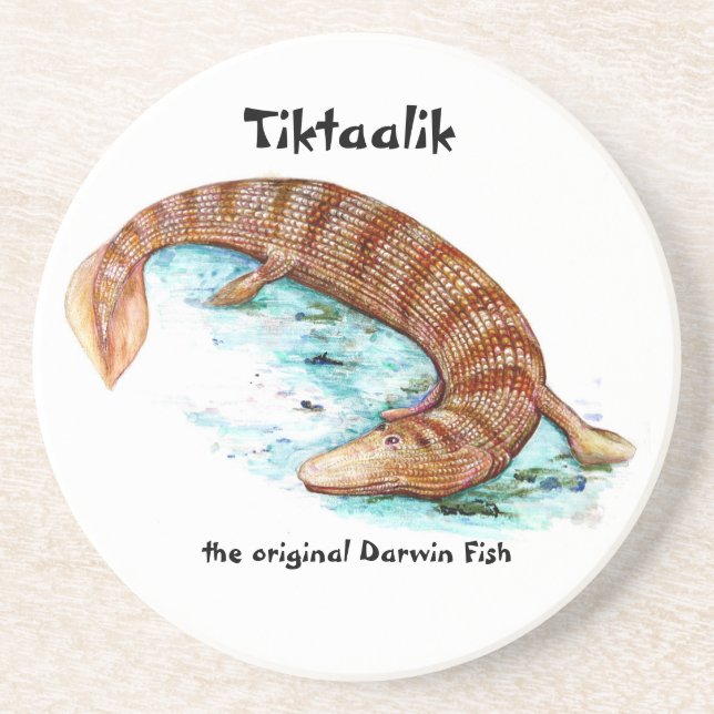 Tiktaalik coaster (Front)