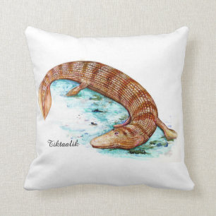 Tiktaalik Cushion