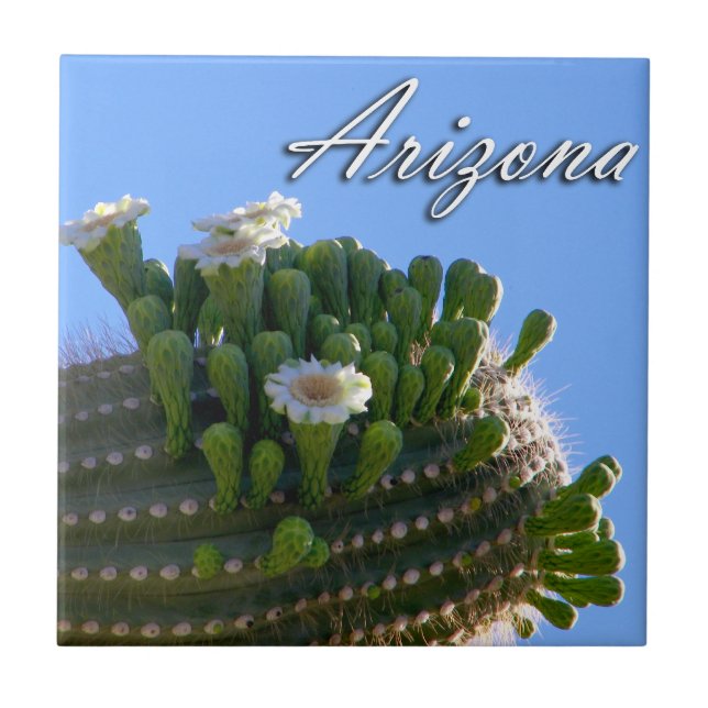 Tile, Arizona Saguaro Cactus Photo Tile (Front)