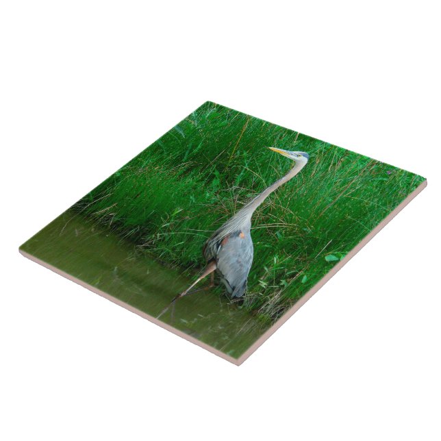 TILE, "BLUE HERON STANDING IN POND" (PHOTOG.) TILE (Side)