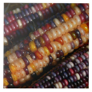 TILE, "COLORFUL INDIAN CORN" DECORATIVE TILE