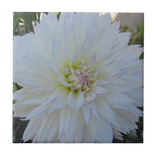 Tile--"Crazy Love" Dahlia Tile