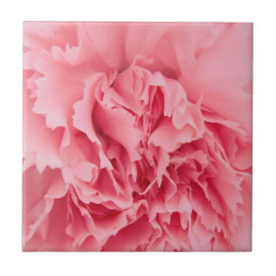 Tile Pink Carnation Close Up