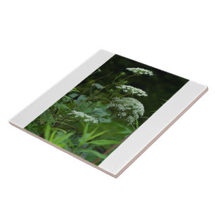 tile template