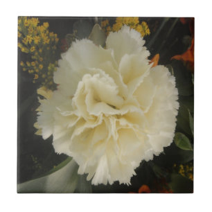 Tile White Carnation Beauty