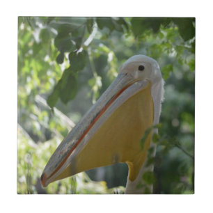 Tile with funny pelican